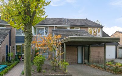 de Toog 38