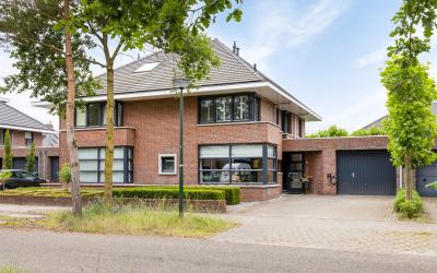 Heivlinderl. 6