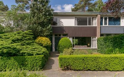 van Lenneps. 11