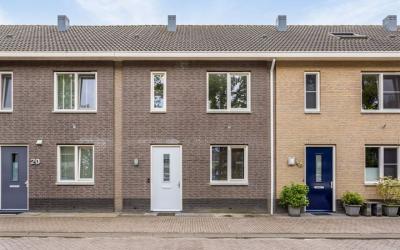 Honingbij 18