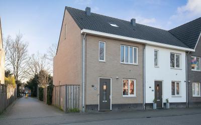Honingbij 48