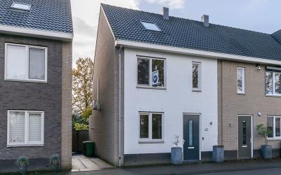 Honingbij 62