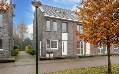 Honingbij 86