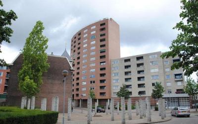 de Callenbu. 50