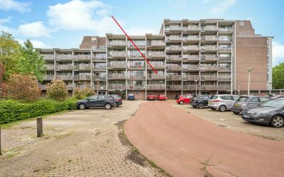 Nieuwveld 126