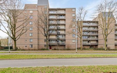Nieuwveld 72