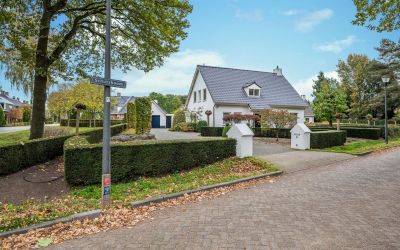 Schutsboom 18