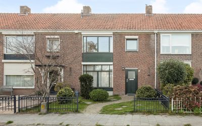 Mahoniehout. 10