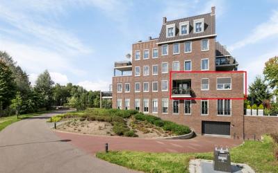Zoete Kers 59