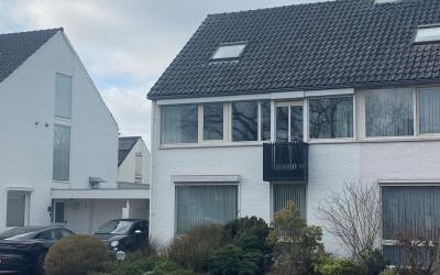 Boerhaavela. 3