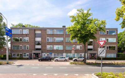 Boerhaavela. 79