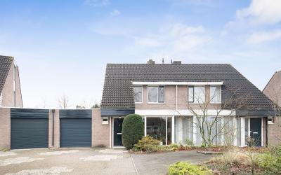 Wilde Winge. 27