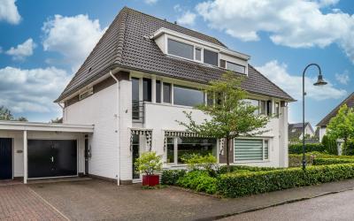 Zonnedauwsi. 11
