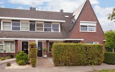 Wildenborch. 8