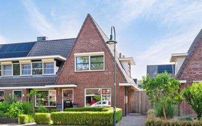 Wildenborch. 99