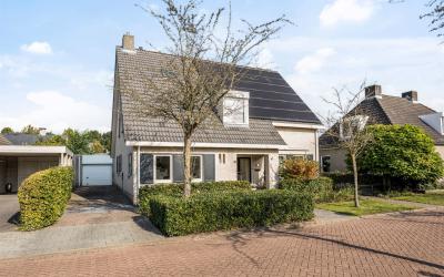 IJssel 3