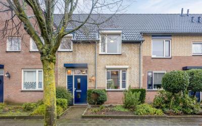 Iepelaar 20