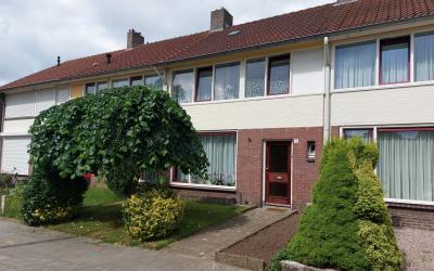 Tulpstraat 5
