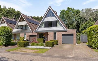 Jan van der. 38