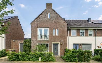 Boerenzwaluw 16