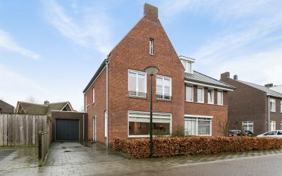 Boerenzwaluw 50