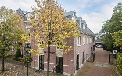 Magnolia 6