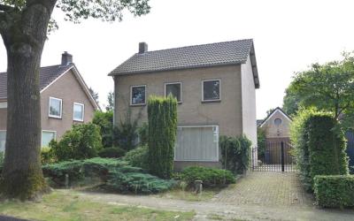 Schutsboom 53
