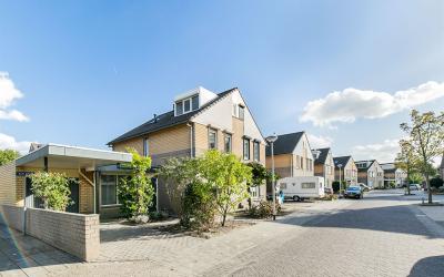 Koningsmant. 24