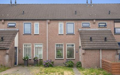 Veenmossing. 44