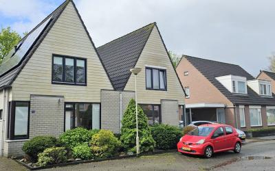 Wollegras 40