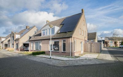 Sleutelbloem 2