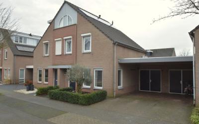 Paardebloem 31