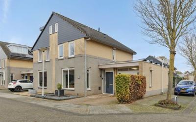 Paardebloem 26