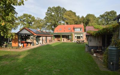 Loon 35