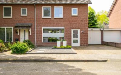 Wilgenrooss. 10