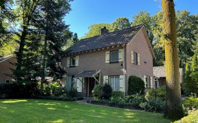 Ripsestraat 17