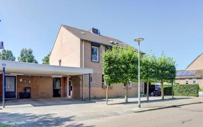 Boterbloem 66