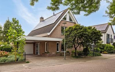 Zilverschoon 31