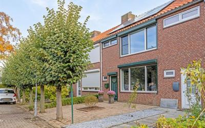Willem van. 5