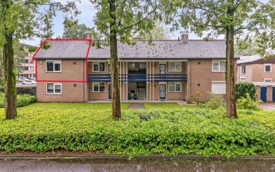 Piet Heinst. 55