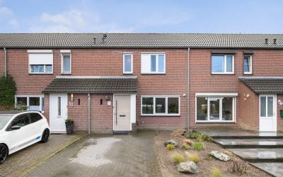 Merel 31