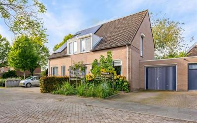 Wielewaal 13