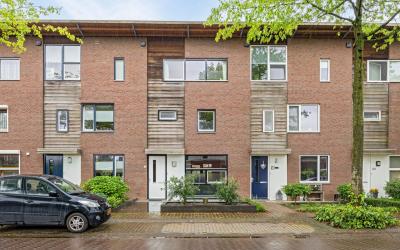 Boterbloem 46