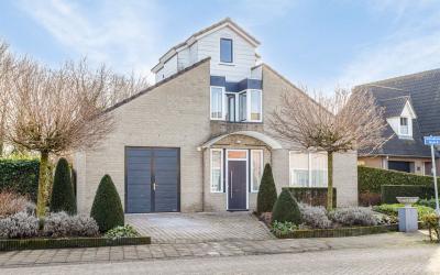 Roodborst 15