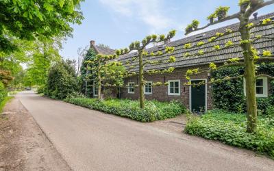 Haart 4