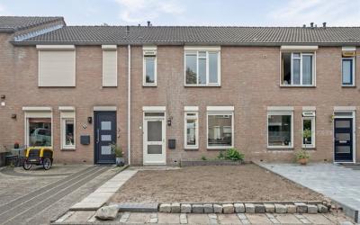 Hermelijnsi. 6