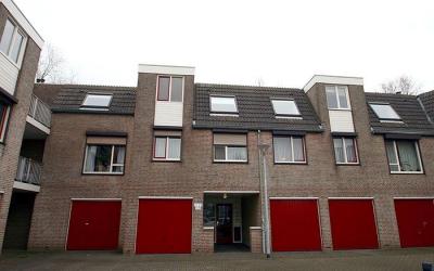 Dokter Alet. 27