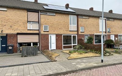 Scholekster. 14