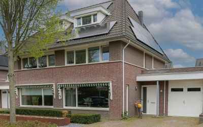Paardebloem 11