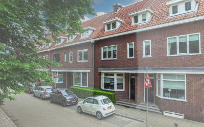 van Schelbe. 31